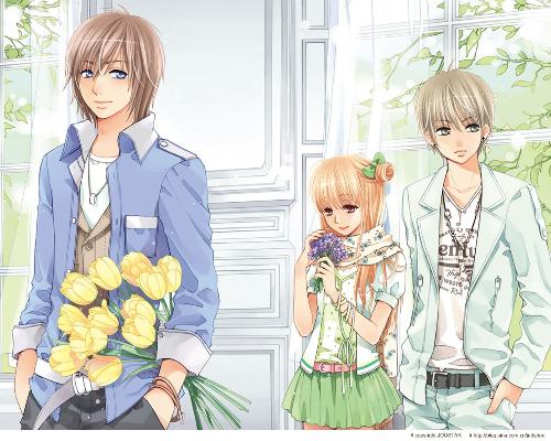 猫咪在线观看免费